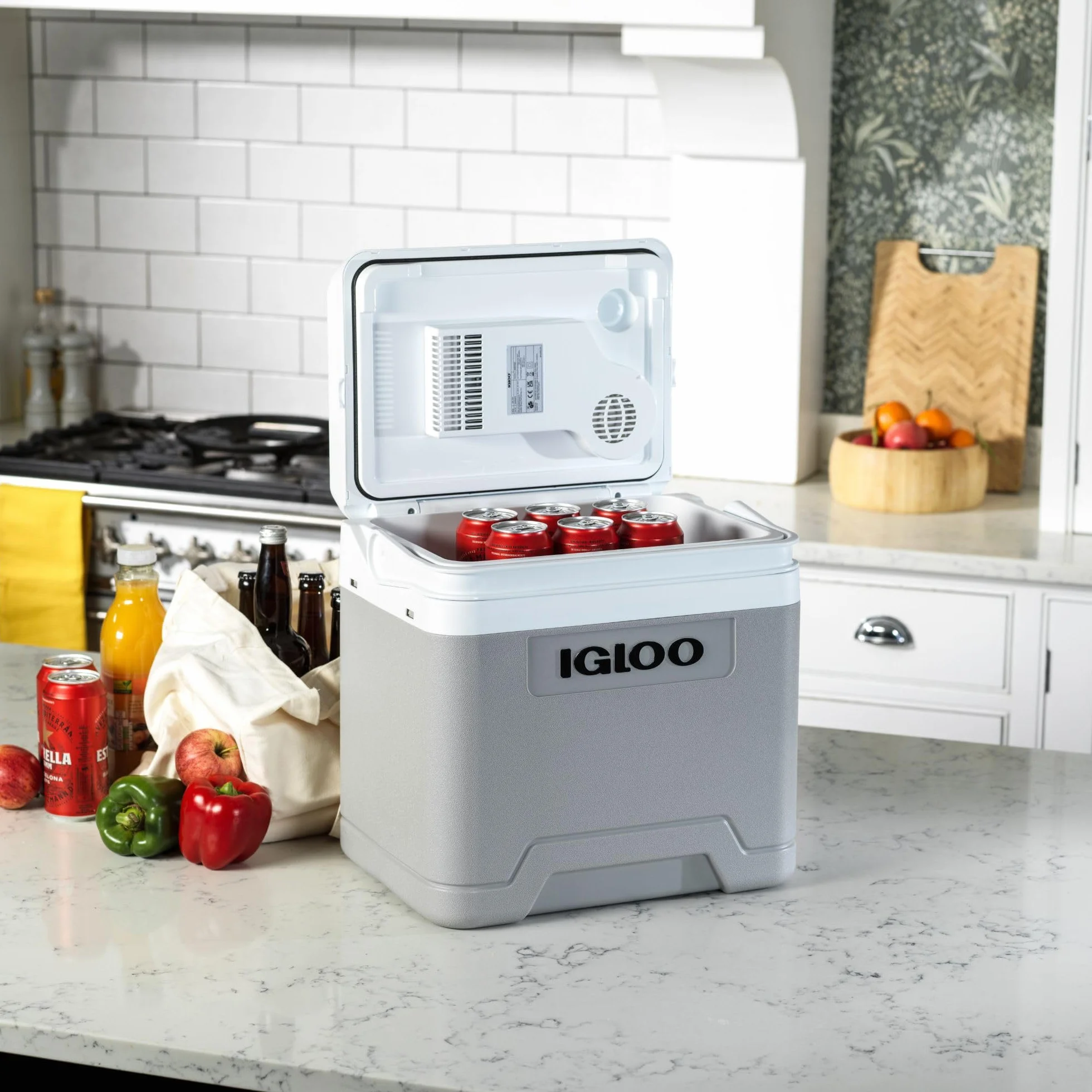 IGLOO IE24 AC/DC elektryczna lodówka 24L – 12/230V – Kompaktowa lodówka samochodowa do auta, kempingu, ciężarówki i łodzi – Lekka, przenośna i ze schowkiem na kabel