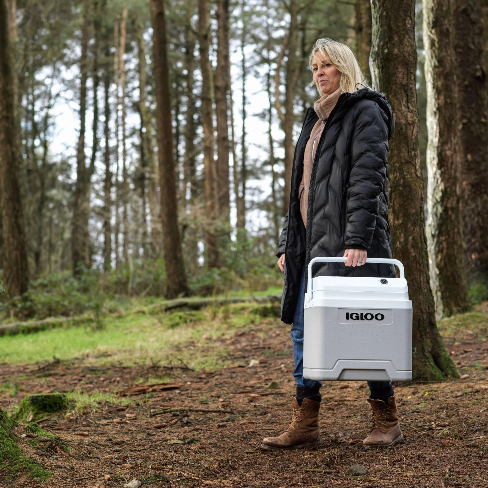 IGLOO IE24 AC/DC elektryczna lodówka 24L – 12/230V – Kompaktowa lodówka samochodowa do auta, kempingu, ciężarówki i łodzi – Lekka, przenośna i ze schowkiem na kabel