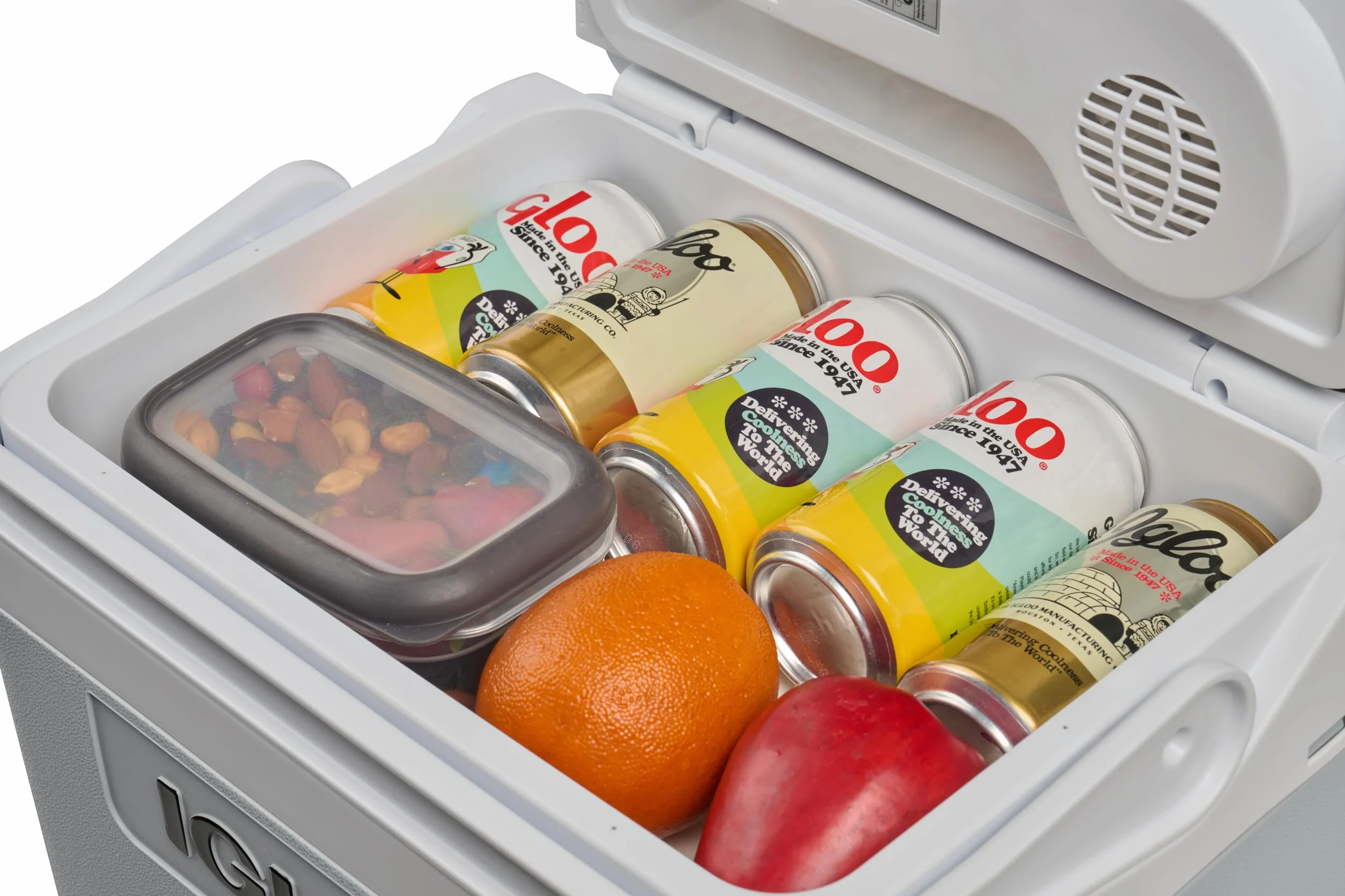 IGLOO IE24 AC/DC elektryczna lodówka 24L – 12/230V – Kompaktowa lodówka samochodowa do auta, kempingu, ciężarówki i łodzi – Lekka, przenośna i ze schowkiem na kabel