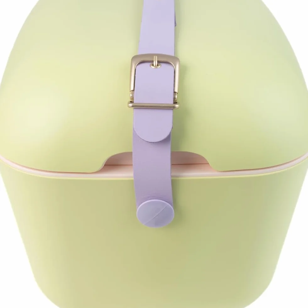 Polarbox Klasyczna retro vintage lodówka na kemping, piknik, plażę, 20 l, limonka/liliowa, limonkowa/różowa